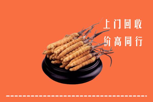 附近收购：茂县冬虫夏草回收多少钱每克
